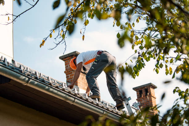 Best Roof Maintenance Services  in Warrenton, VA